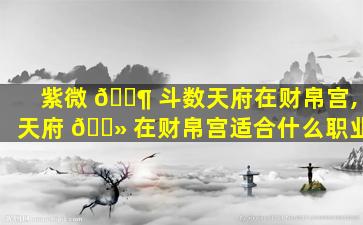 紫微 🐶 斗数天府在财帛宫,天府 🌻 在财帛宫适合什么职业